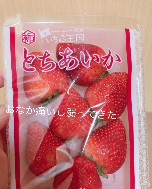 ごめんなさい｜写メ日記｜木下｜品川・五反田 一般デリヘル 品川やすらぎ