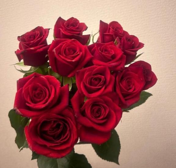 お礼とお詫び｜写メ日記｜増田｜品川・五反田 一般デリヘル 品川やすらぎ