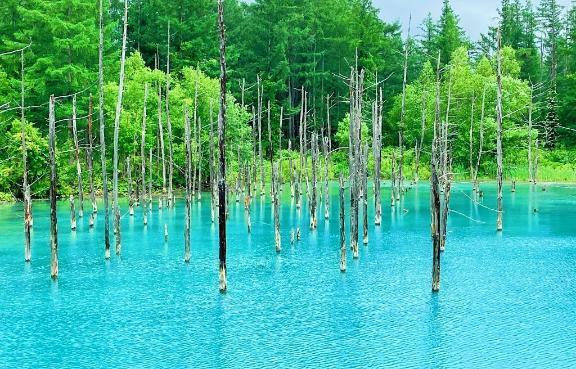 こんにちは❄️｜写メ日記｜増田｜品川・五反田 一般デリヘル 品川やすらぎ