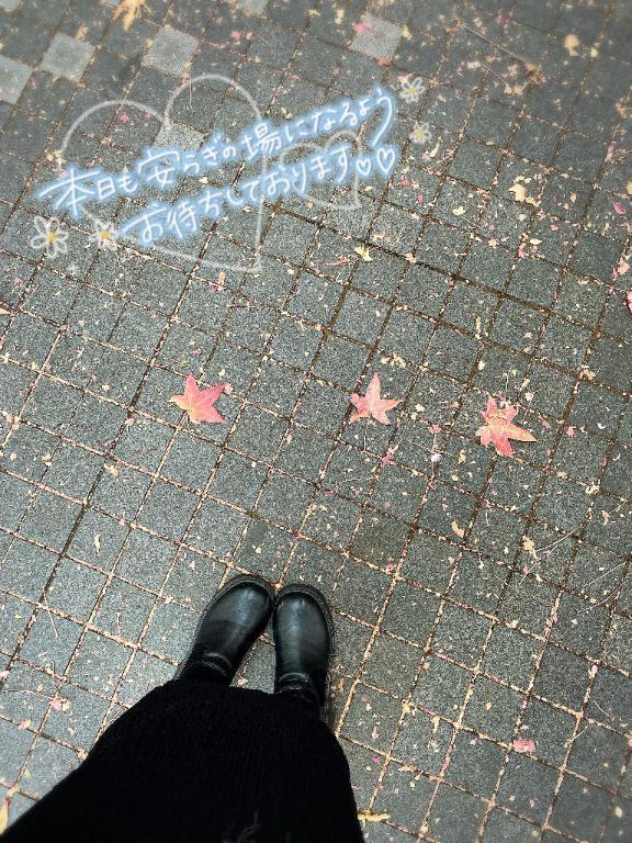 ほっこり🍁✨️