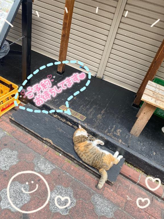 尊い🤦‍♀️💗｜写メ日記｜深澤｜品川・五反田 一般デリヘル 品川やすらぎ