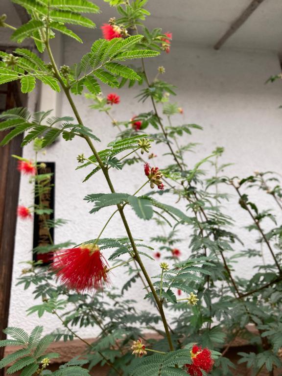 〜お礼のご挨拶〜｜写メ日記｜片桐｜品川・五反田 一般デリヘル 品川やすらぎ