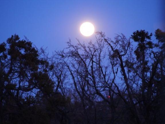 十五夜｜写メ日記｜蒼井｜品川・五反田 一般デリヘル 品川やすらぎ