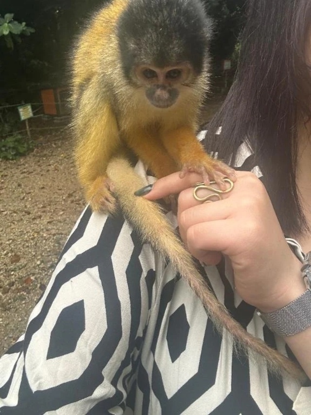 会えた💞｜写メ日記｜さくら｜大塚・巣鴨 一般デリヘル 大塚デリヘル倶楽部