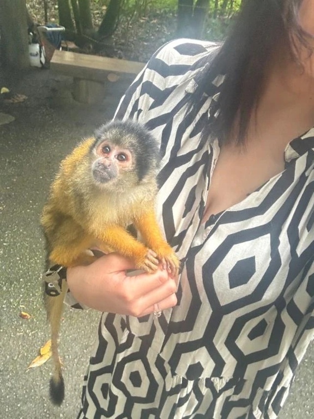 余韻ちゃんねる♡｜写メ日記｜さくら｜大塚・巣鴨 一般デリヘル 大塚デリヘル倶楽部