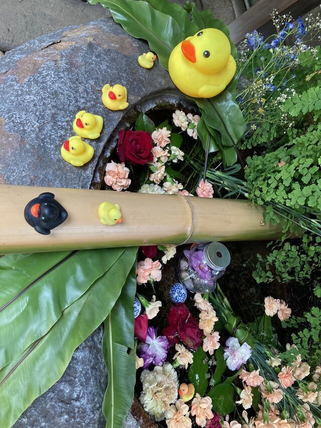 遅くなりましたがありがとうございます。｜写メ日記｜このは｜鶯谷 ぽっちゃりデリヘル ぷにぷにプリンセス