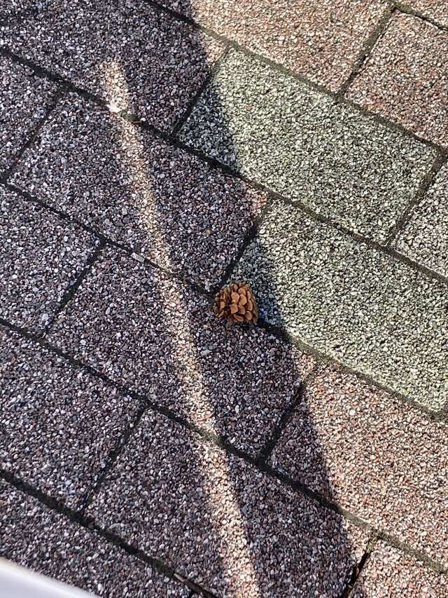 わすれもの｜写メ日記｜このは｜鶯谷 ぽっちゃりデリヘル ぷにぷにプリンセス