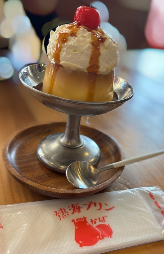 熱海プリン|写メ日記|あんず|鶯谷 ぽっちゃりデリヘル ぷにぷにプリンセス