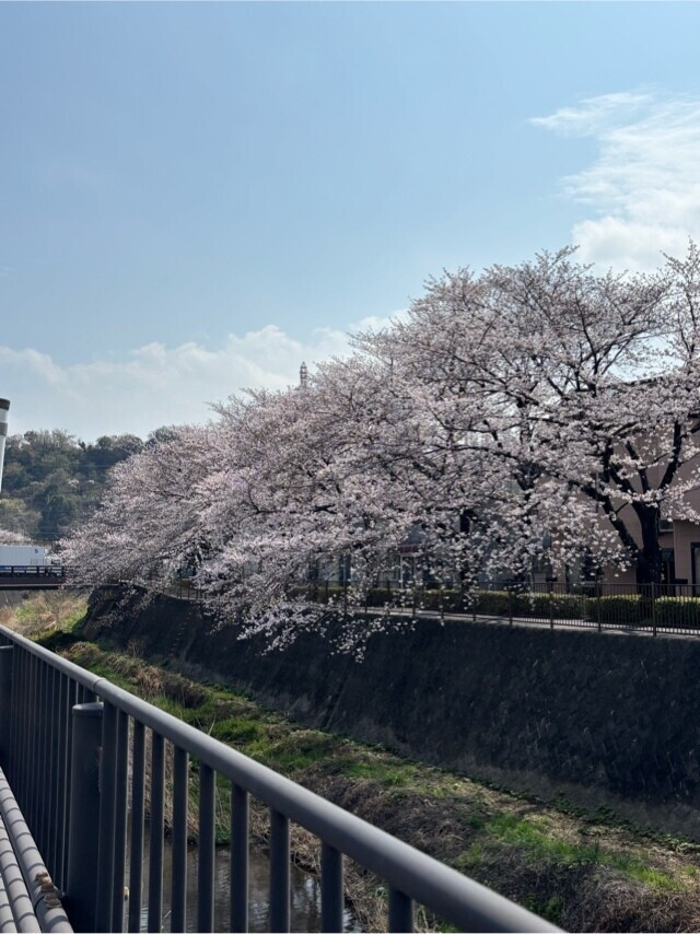 おやすみー