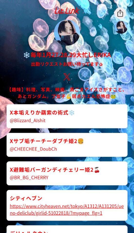 リットリンクちょっと見やすく改造👀｜写メ日記｜えりか｜鶯谷 一般デリヘル 上野デリヘル倶楽部（鶯谷発～）