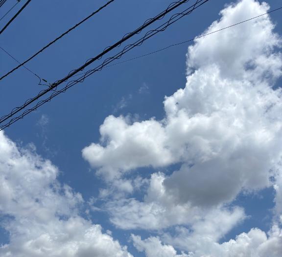 残 り 一 枠