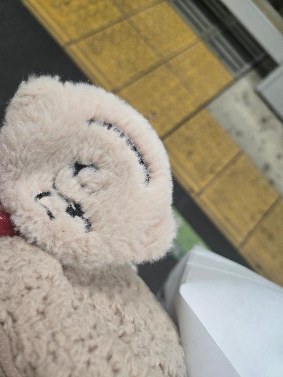 お詫び︎