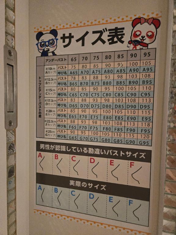 おっぱいのサイズ表