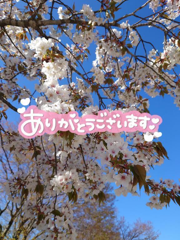 4/27お礼。