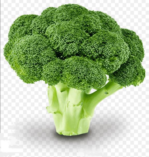 8月ラストディー。｜写メ日記｜じゅりな｜鶯谷 一般デリヘル 上野デリヘル倶楽部（鶯谷発～）