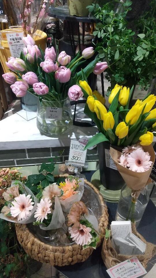 こんばんは｜写メ日記｜じゅりな｜鶯谷 一般デリヘル 上野デリヘル倶楽部（鶯谷発～）