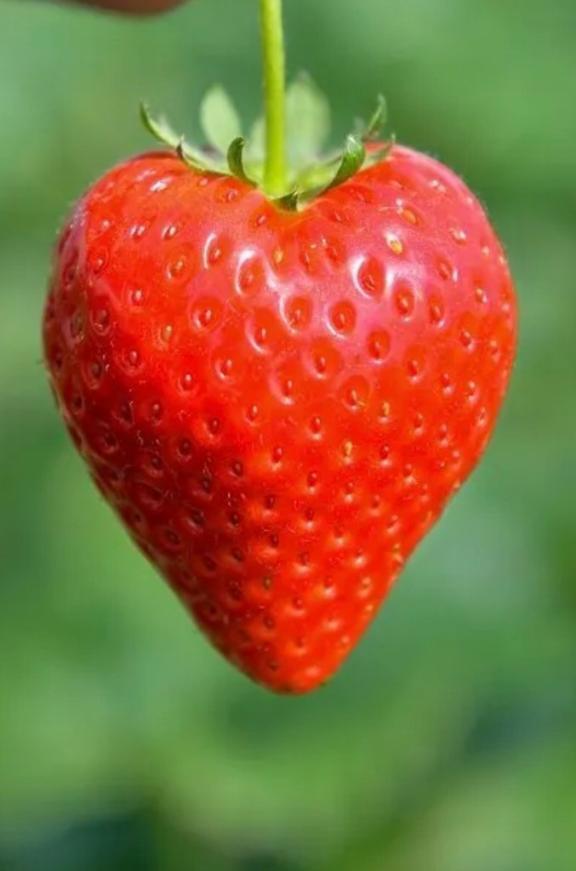 ご報告｜写メ日記｜じゅりな｜鶯谷 一般デリヘル 上野デリヘル倶楽部（鶯谷発～）