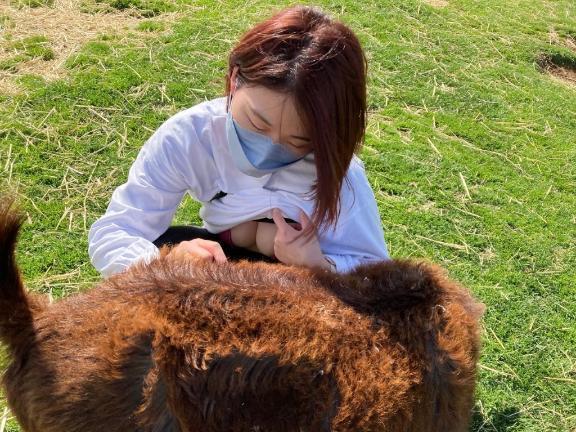 珍しい！｜写メ日記｜ことね｜鶯谷 一般デリヘル 上野デリヘル倶楽部（鶯谷発～）