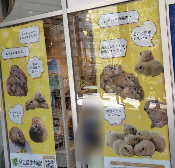 足立区生物園ってご存知ですか？｜写メ日記｜しのぶ｜鶯谷 一般デリヘル 上野デリヘル倶楽部（鶯谷発～）