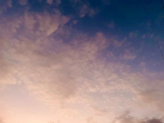 ⬛⬛｜写メ日記｜あずにゃん｜鶯谷 一般デリヘル 上野デリヘル倶楽部（鶯谷発～）