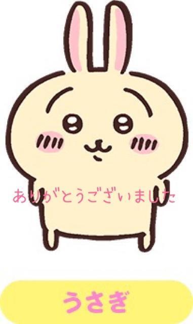 今日も