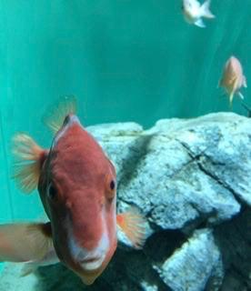 申し訳ないです｜写メ日記｜えみ｜鶯谷 一般デリヘル 上野デリヘル倶楽部（鶯谷発～）