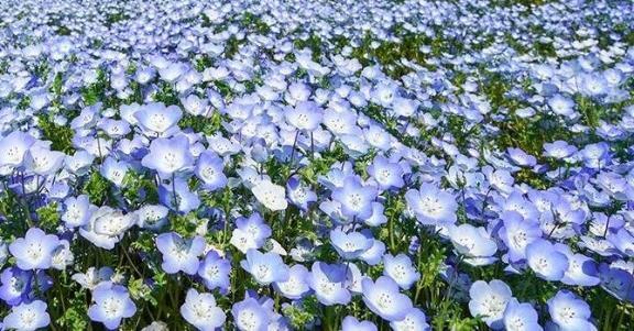 明日のお休みについて｜写メ日記｜なみ｜鶯谷 一般デリヘル 上野デリヘル倶楽部（鶯谷発～）