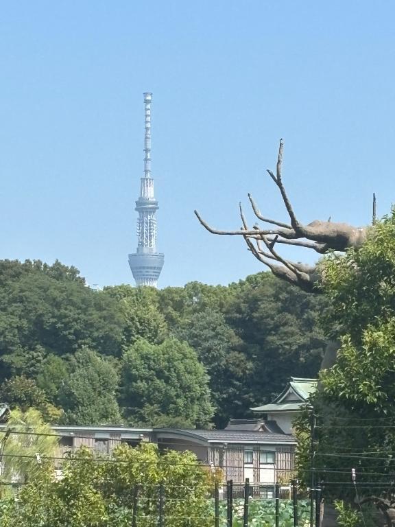 癒されたぁ｜写メ日記｜みさこ｜鶯谷 人妻デリヘル 熟女デリヘル倶楽部