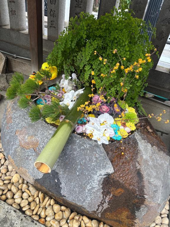 明日も13時〜出勤しまーす｜写メ日記｜みさこ｜鶯谷 人妻デリヘル 熟女デリヘル倶楽部