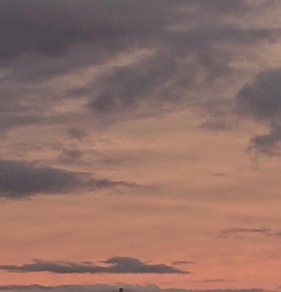 今空｜写メ日記｜ももか｜鶯谷 人妻デリヘル 熟女デリヘル倶楽部