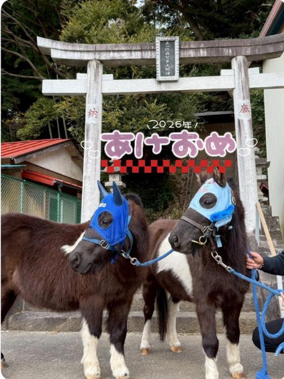 明けましておめでとうございます㊗｜写メ日記｜小島｜鶯谷 人妻デリヘル 熟女デリヘル倶楽部