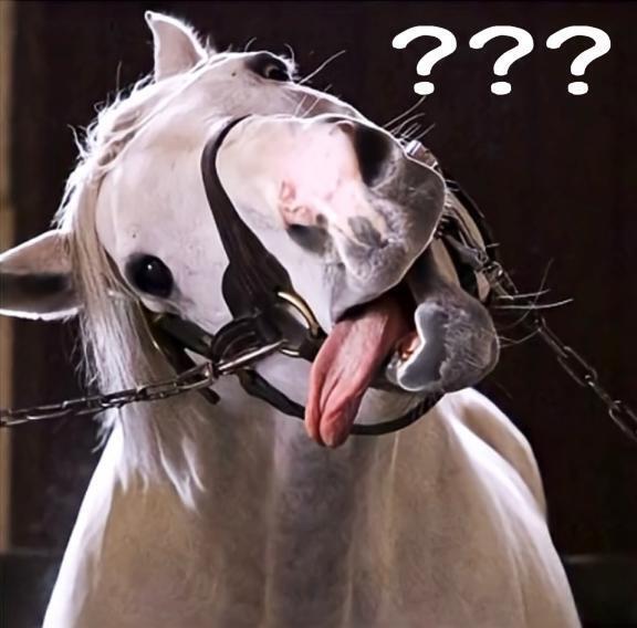 暖かいからかなー？春ですね｜写メ日記｜小島｜鶯谷 人妻デリヘル 熟女デリヘル倶楽部