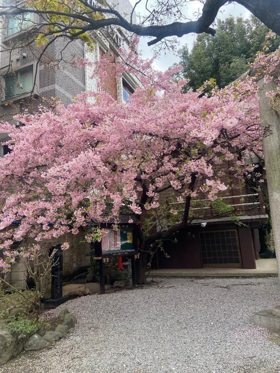 6月18日の朝方。