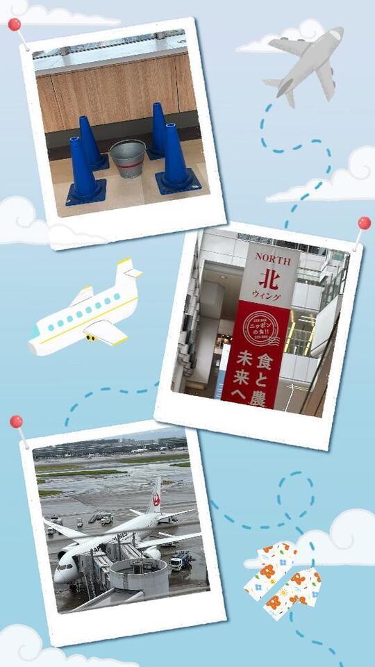 羽田空港｜写メ日記｜じゅん｜鶯谷 人妻デリヘル 熟女デリヘル倶楽部