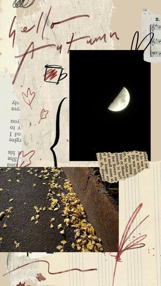 秋だなぁ｜写メ日記｜じゅん｜鶯谷 人妻デリヘル 熟女デリヘル倶楽部