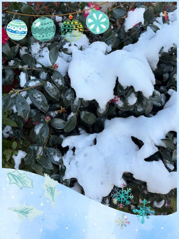 雪｜写メ日記｜じゅん｜鶯谷 人妻デリヘル 熟女デリヘル倶楽部