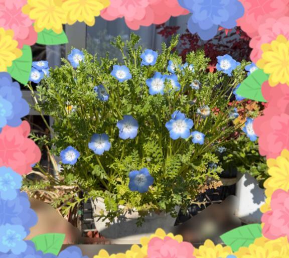 負けちゃったぁ( TДT)｜写メ日記｜じゅん｜鶯谷 人妻デリヘル 熟女デリヘル倶楽部