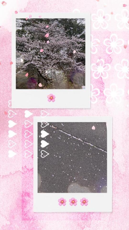 開幕3連勝〜！｜写メ日記｜じゅん｜鶯谷 人妻デリヘル 熟女デリヘル倶楽部