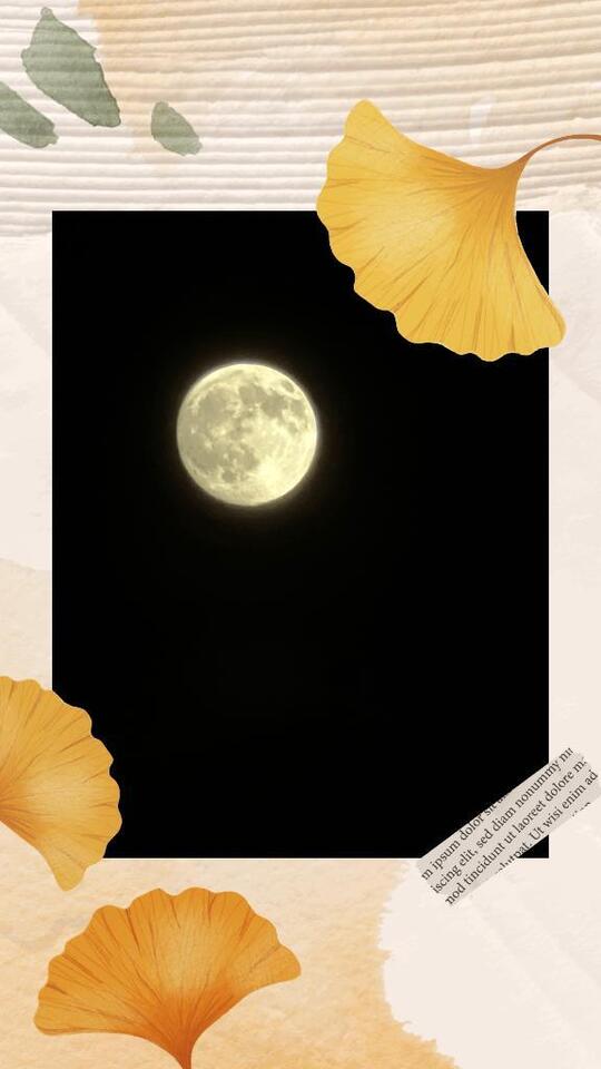 中秋の名月