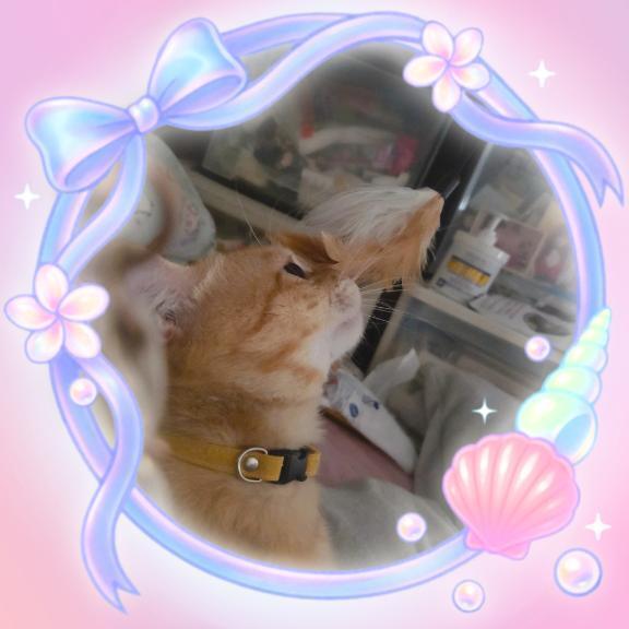 おはようございます(*^^*)｜写メ日記｜晴山るな｜鶯谷 人妻デリヘル 熟女デリヘル倶楽部