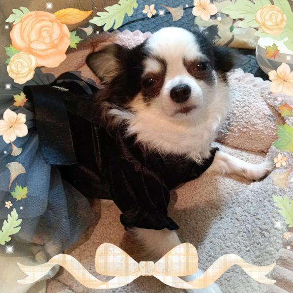 今後のシフト｜写メ日記｜晴山るな｜鶯谷 人妻デリヘル 熟女デリヘル倶楽部