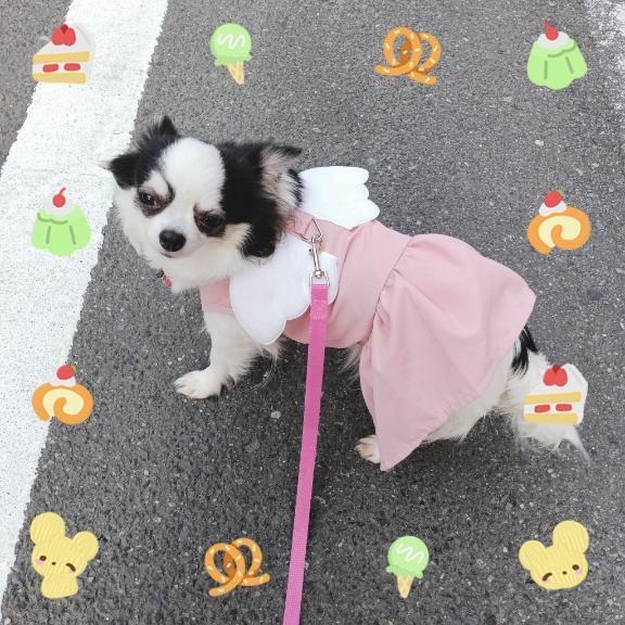 明日出勤致しますm(_ _)m｜写メ日記｜晴山るな｜鶯谷 人妻デリヘル 熟女デリヘル倶楽部