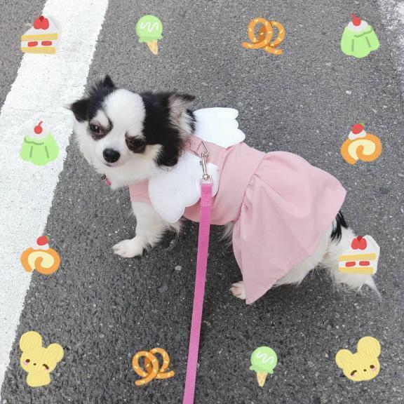 おはようございますヾ(＠⌒ー⌒＠)ノ｜写メ日記｜晴山るな｜鶯谷 人妻デリヘル 熟女デリヘル倶楽部