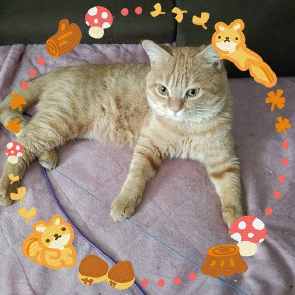 おはようございます(*^^*)｜写メ日記｜晴山るな｜鶯谷 人妻デリヘル 熟女デリヘル倶楽部