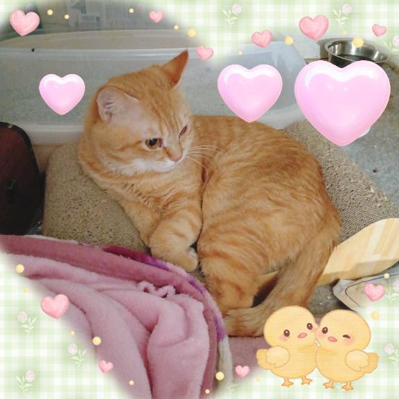 おはようございますヽ(*''*)ﾉ｜写メ日記｜晴山るな｜鶯谷 人妻デリヘル 熟女デリヘル倶楽部