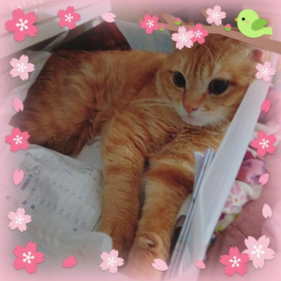 出勤しています(*^^*)｜写メ日記｜晴山るな｜鶯谷 人妻デリヘル 熟女デリヘル倶楽部