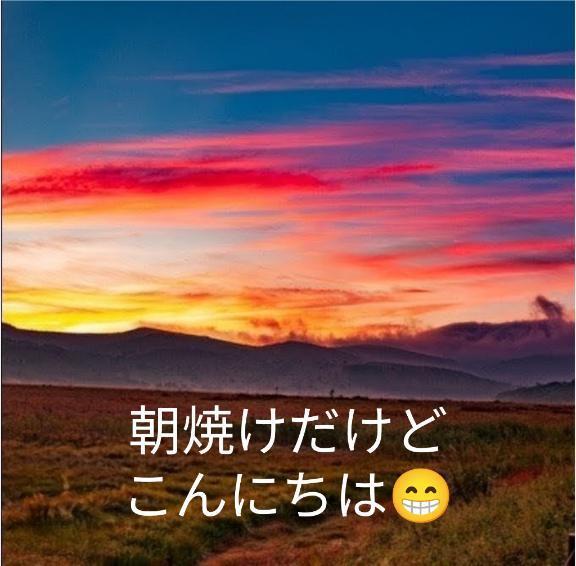 こんにちは｜写メ日記｜ひばり｜鶯谷 人妻デリヘル 熟女デリヘル倶楽部