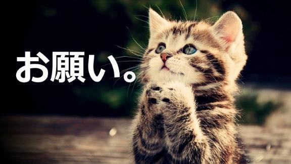 こんにちは