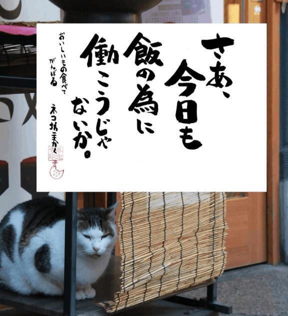 今週もよろしくお願いいたします