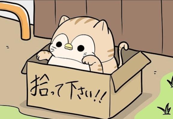 ５月オーラスです